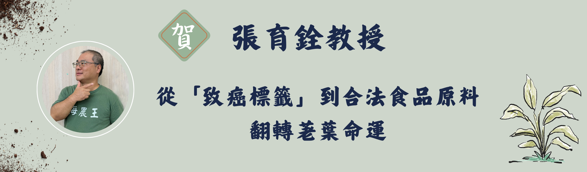Link to 從「致癌標籤」到合法食品原料 翻轉荖葉命運